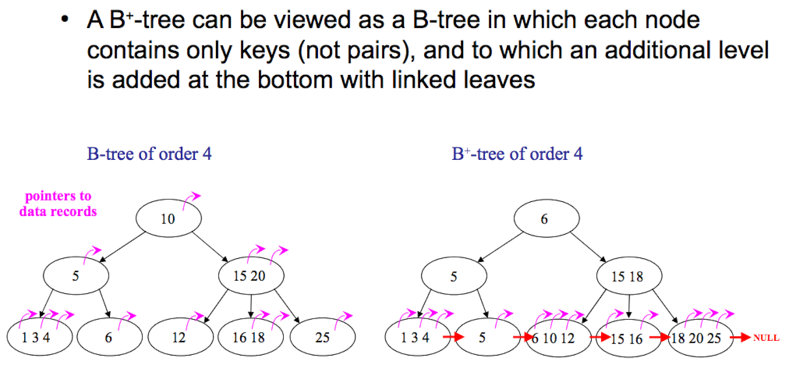 B tree vs. B+ tree