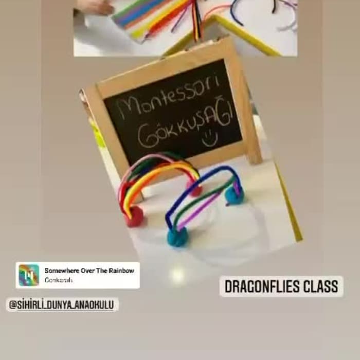 Montessori Etkinliği
