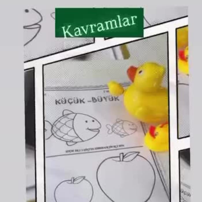 Kavramları Öğreniyoruz