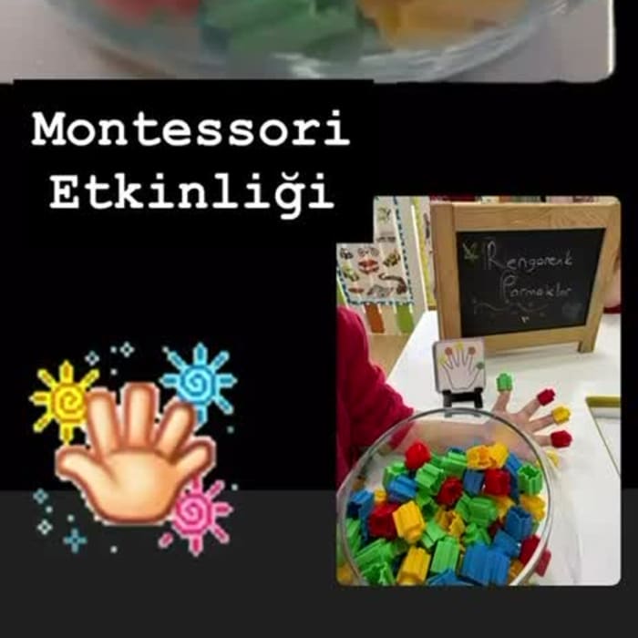 Montessori Etkinliği