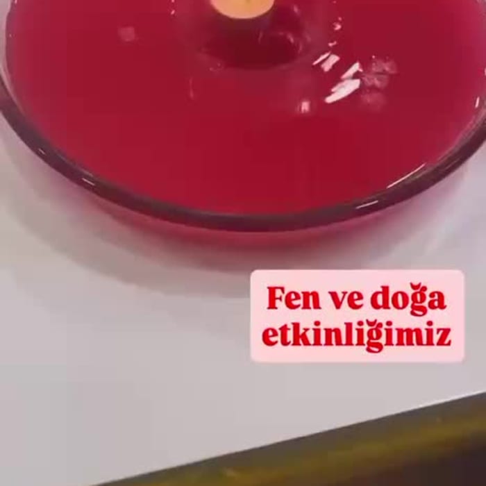 Fen ve Doğa Etkinliği