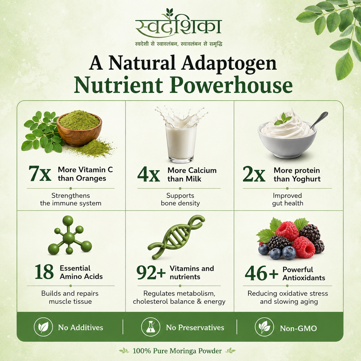 Moringa Powder 3