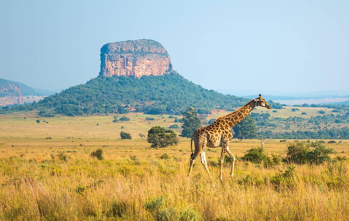 Les 10 plus beaux pays d'Afrique à visiter