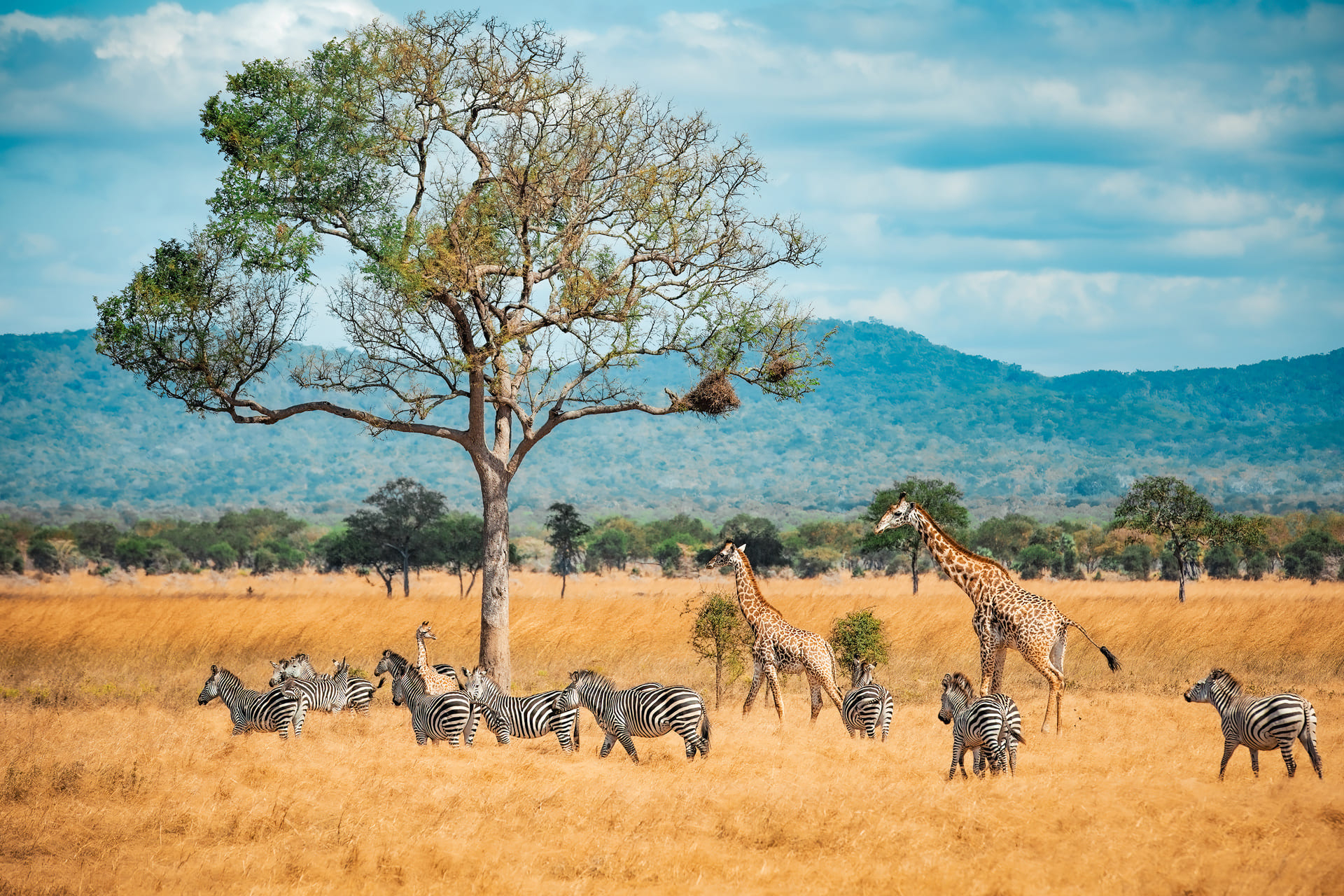 Les 10 plus beaux pays d'Afrique à visiter