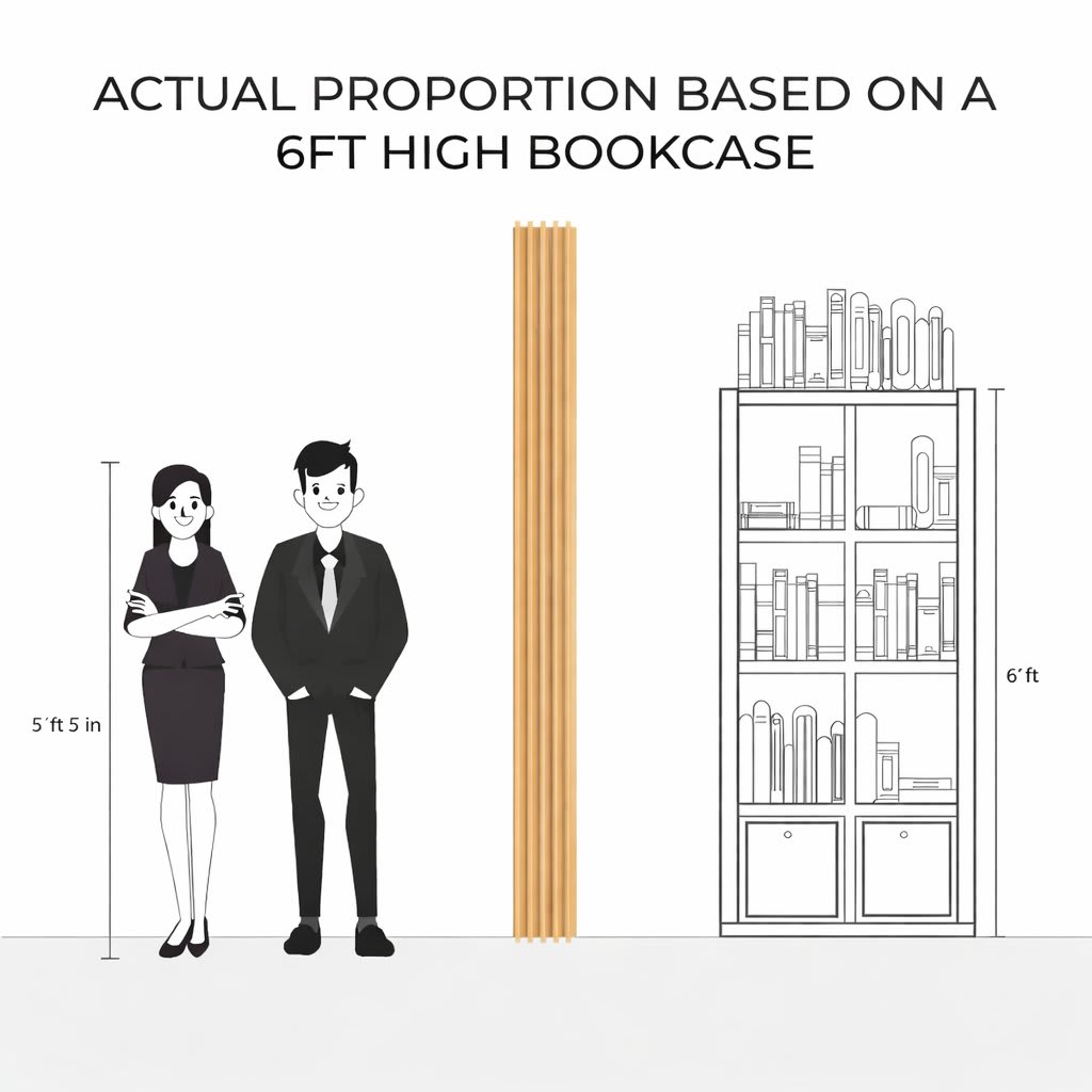 Graphic comparison showing a man and woman standing next to a 6 ft bookcase to illustrate proportion, height and scale for interior design, furniture layout, measurements and reference.