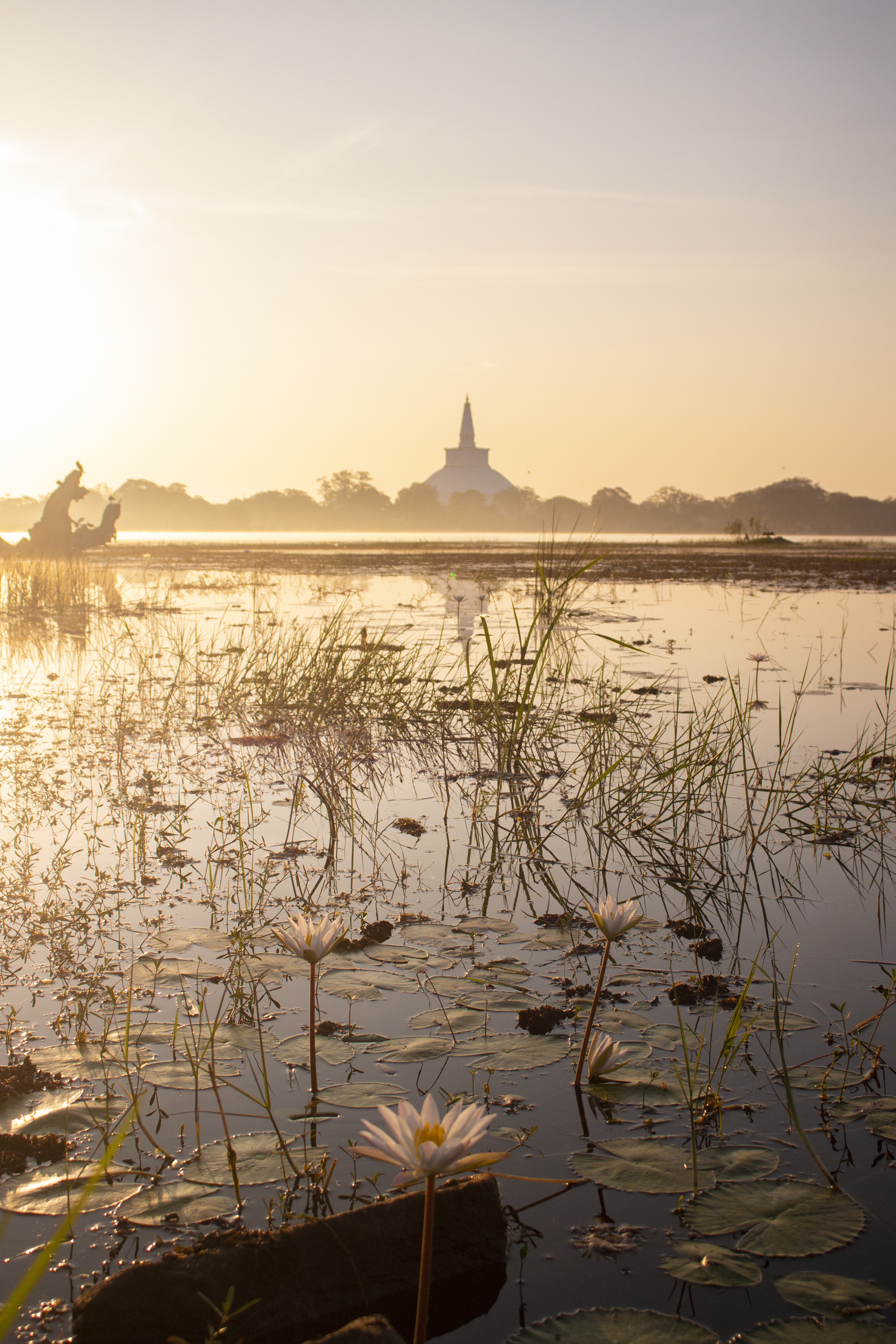 Anuradhapura