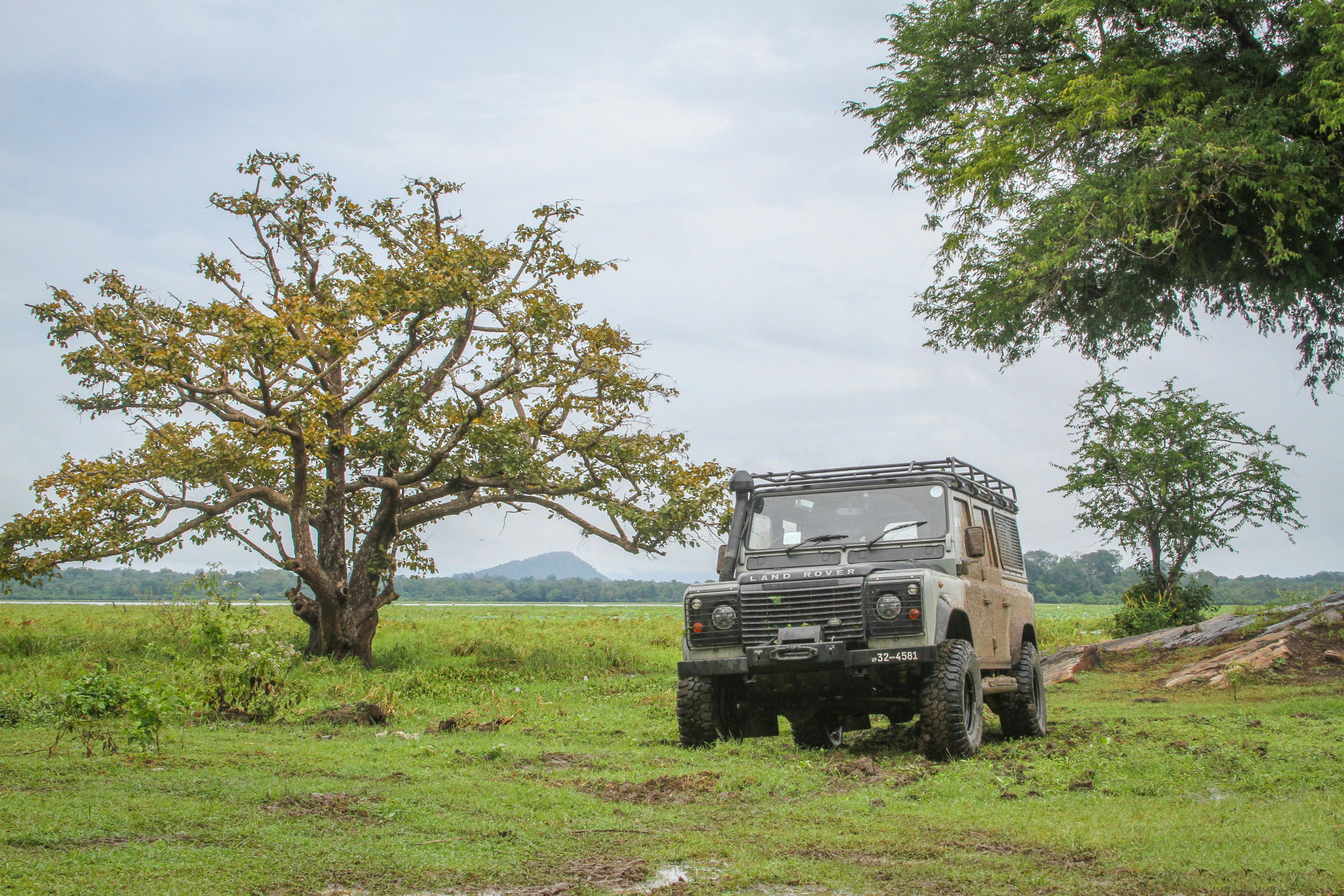 Wildlife Safaris in Sri Lanka