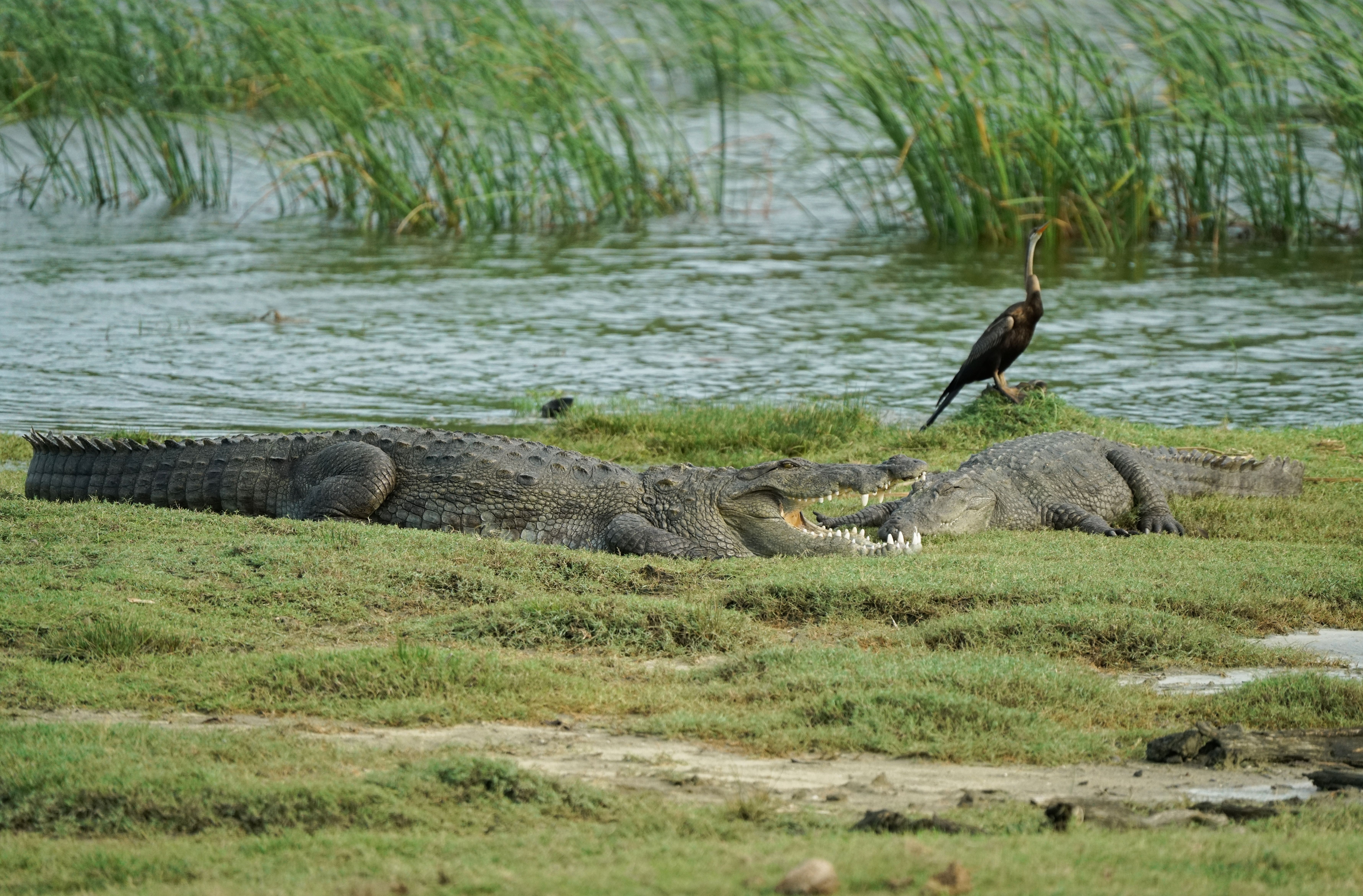 Wilpattu National Park