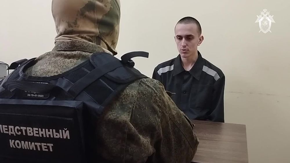 Турция убила наших