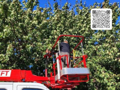 «Мариупольгорсвет» освобождает линии электропередачи от аварийно-опасных веток