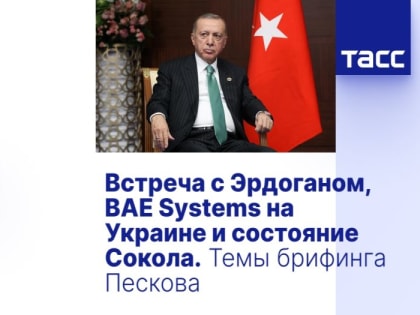 Встреча с Эрдоганом, BAE Systems на Украине и состояние Сокола. Темы брифинга Пескова