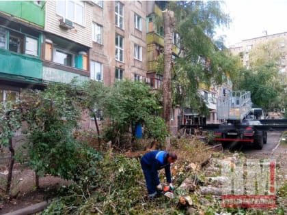 "Зеленстрой" облагораживает дворы в трех районах города