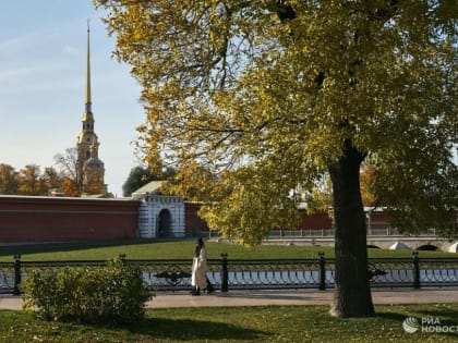 Школьники из Мариуполя приедут на осенние каникулы в Петербург