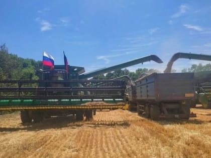 Институт космических исследований РАН оценил среднюю урожайность озимых зерновых культур в Донецкой Народной Республике