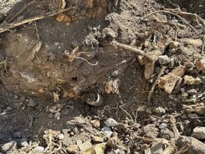 В Мариуполе на территории объекта восстановления обнаружили реактивный снаряд