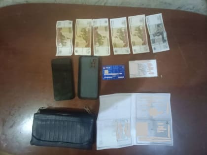 В столице Республики полицейские задержали разбойника