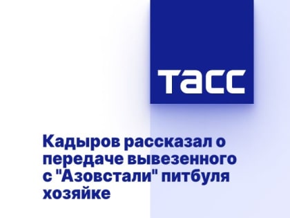 Кадыров рассказал о передаче вывезенного с "Азовстали" питбуля хозяйке