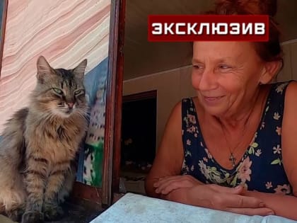 Жительница Мариуполя рассказала, как кошка спасла ее от обстрела