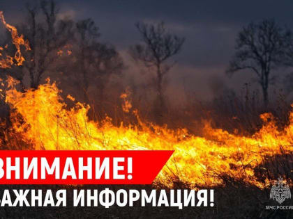 ПОРЫВИСТЫЙ СИЛЬНЫЙ ВЕТЕР ВЫЗВАЛ РЯД КРУПНЫХ ПОЖАРОВ В РЕСПУБЛИКЕ