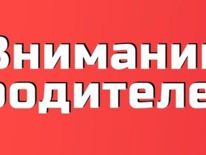 Полицейские призывают родителей контролировать местонахождение своих детей