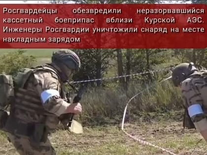 #ГлавноеЗаНеделю. Спецназ Росгвардии во взаимодействии с ФСБ России обследовал разрушенный бункер украинских боевиков на