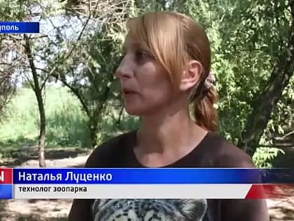 Трое львят и олененок. В мариупольском зоопарке пополнение. В Мариупольском зоопарке сразу несколько животных обзавелись