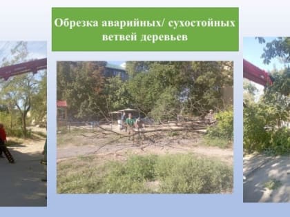 МУП АГМ «Мариупольжилкомплекс» на регулярной основе осуществляет уборку и благоустройство территорий Ильичевского района