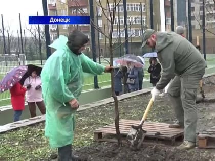 Экологическая акция. Высадка деревьев в Донецке