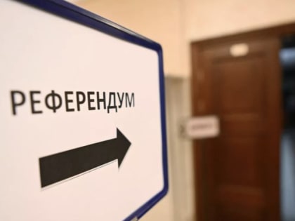 В МВД заявили о спокойном ходе референдума в Мариуполе