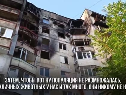 "Кто-то выносит барахло, а мы выносим животных"