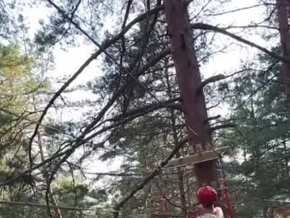 Этот день ребята в лагере «Дружных» ждали с нетерпением