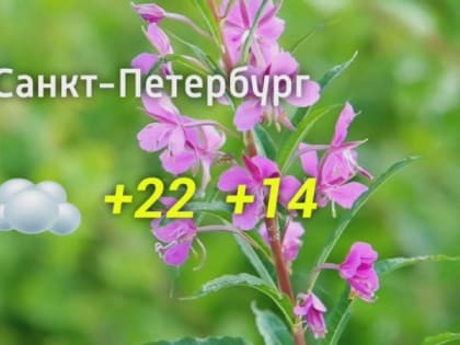 Прогноз погоды на 18.08.2024