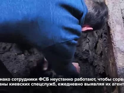 СБУ вербует в агенты максимально уязвимых людей — теперь за содействие украинскому ведомству за решётку отправятся влюбл
