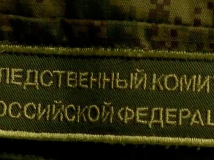 Следственный комитет РФ возбудил уголовные дела в отношении 523 иностранных наемников