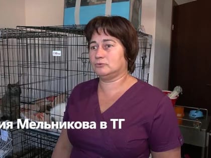 Дымка нашли в разрушенном доме в Мариуполе, его достали буквально перед сносом здания