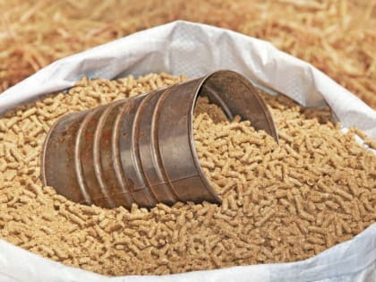 Предприятию из ДНР вручили медаль за лучшее качество комбикормов