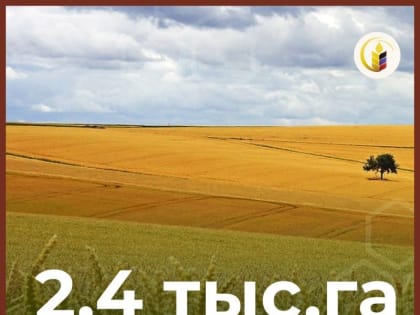 На территории Республики проведены работы по очистке земель сельскохозяйственного назначения от взрывоопасных предметов 