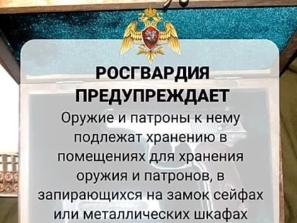 #РосгвардияИнформирует. Нарушение правил хранения оружия может привести к негативным последствиям, таким как его похищен