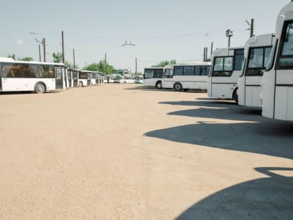 В Мариуполе могут появиться новые автобусные маршруты