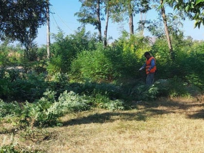 На левобережье Мариуполя коммунальщики приводят в порядок даже самые отдаленные участки