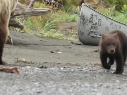 С добрым утром, Мариуполь!