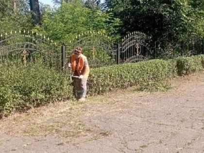 В Мариуполе сотрудники «Зеленстроя» облагораживают живые изгороди