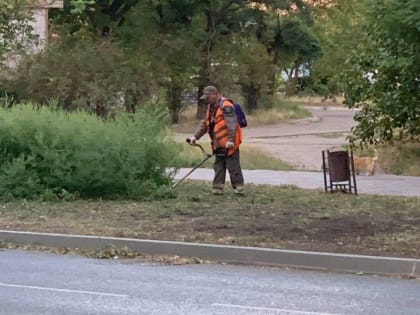 В Мариуполе продолжается активная работа по борьбе с амброзией