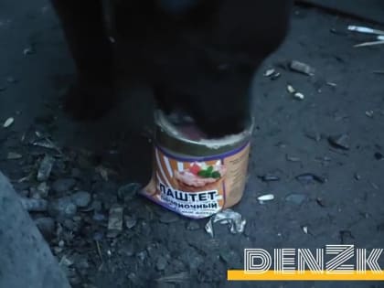 Денис Кулага: Привет из Мариуполя от наших бойцов