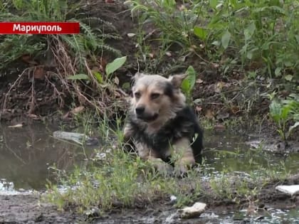 Олег Моргун провел встречи с жителями Приморского и Жовтневого районов