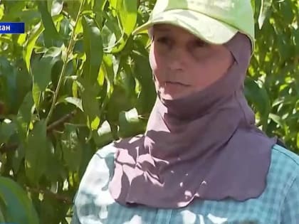 Международные новости. 28.07.2023. Чтобы всегда быть в курсе актуальных новостей, подписывайтесь на социальные сети наше