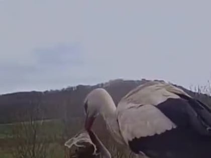 Спокойной ночи, Мариуполь!