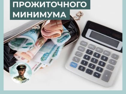 Правительство России установило прожиточный минимум для жителей ДНР