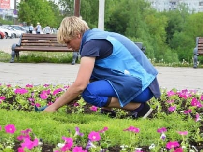 В Мариуполе из-за жаркой погоды скорректируют график работы одной из городских служб