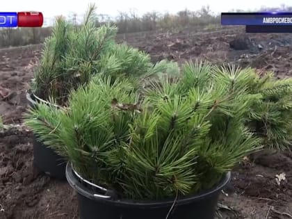 Подготовка к зиме, новое жильё в Мариуполе, пошив одежды для военных